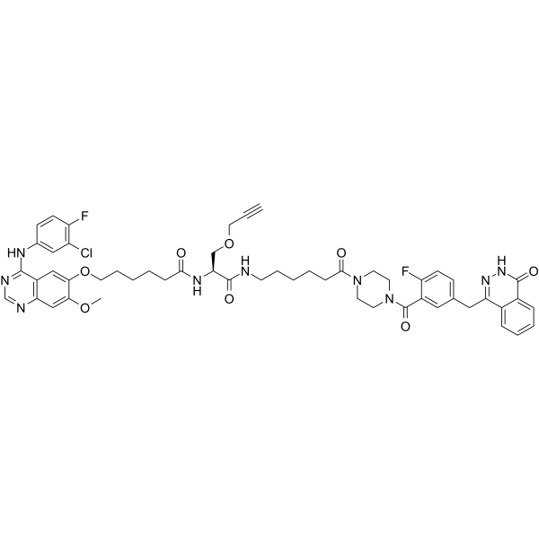 PROTAC PARP/EGFR ligand 1 2661609-57-8